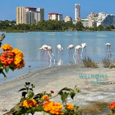 Acuarela Estudio, 1ª Linea, Vista Al Mar, Piscina * Кальпе